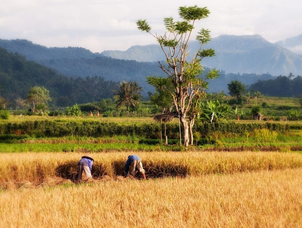 Bali-Indonesia, an excellent place to live as a digital nomad