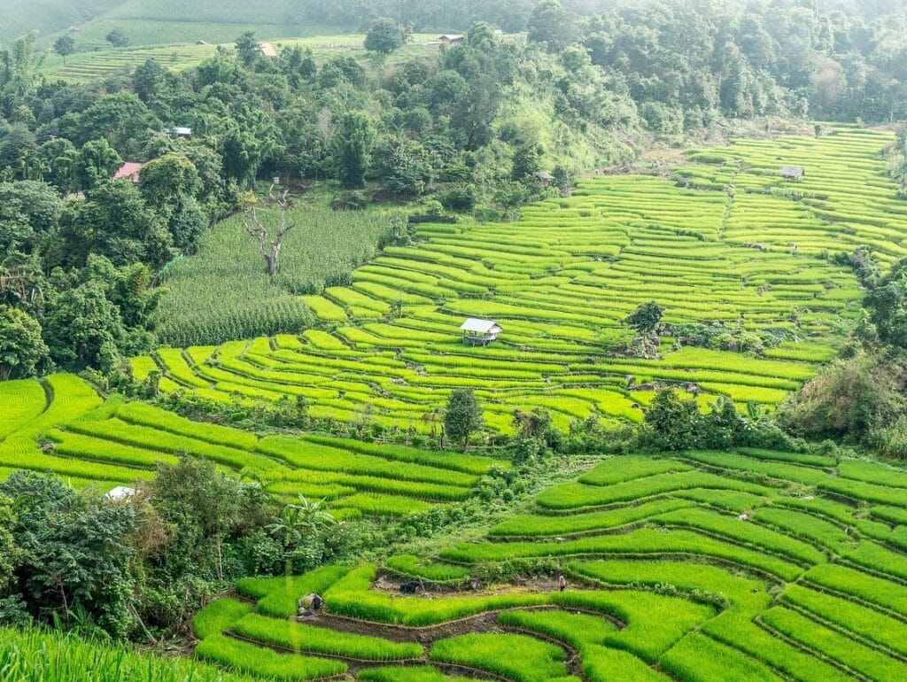 Chiang Mai-Thailand, an excellent place to live as a digital nomad